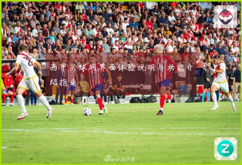 西甲买球网界面体验说明与功能介绍指南
