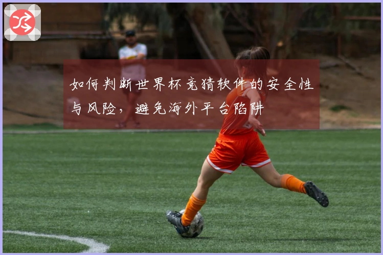 如何判断世界杯竞猜软件的安全性与风险，避免海外平台陷阱