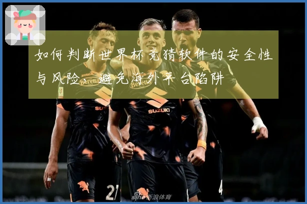 如何判断世界杯竞猜软件的安全性与风险，避免海外平台陷阱
