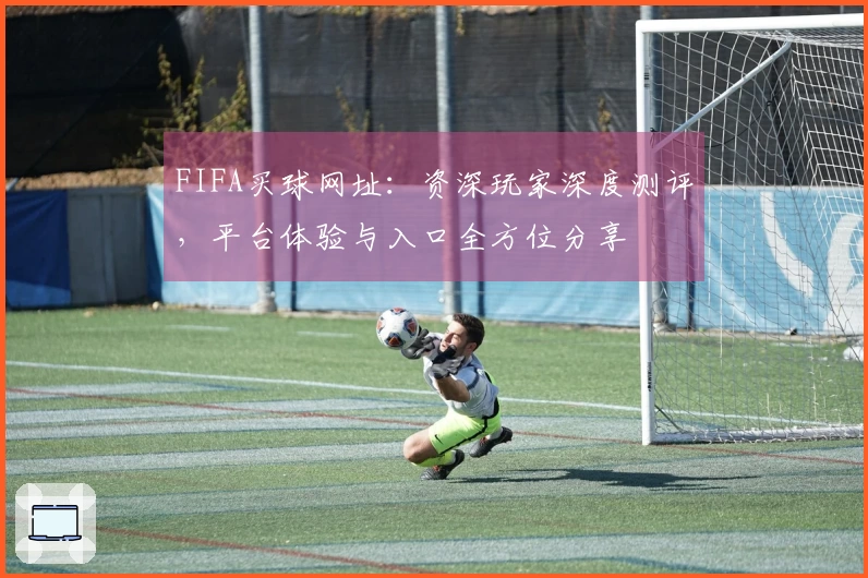 FIFA买球网址：资深玩家深度测评，平台体验与入口全方位分享