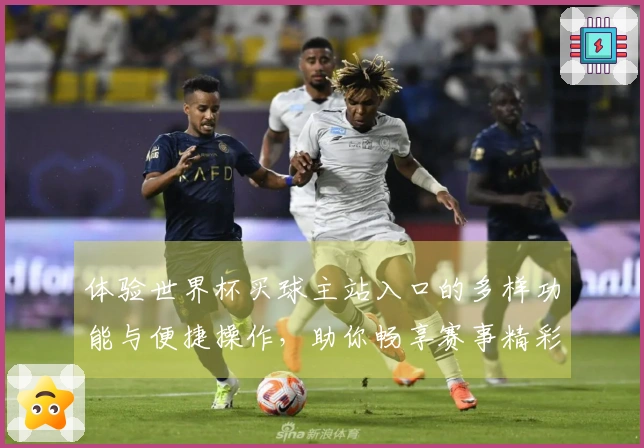体验世界杯买球主站入口的多样功能与便捷操作,助你畅享赛事精彩!