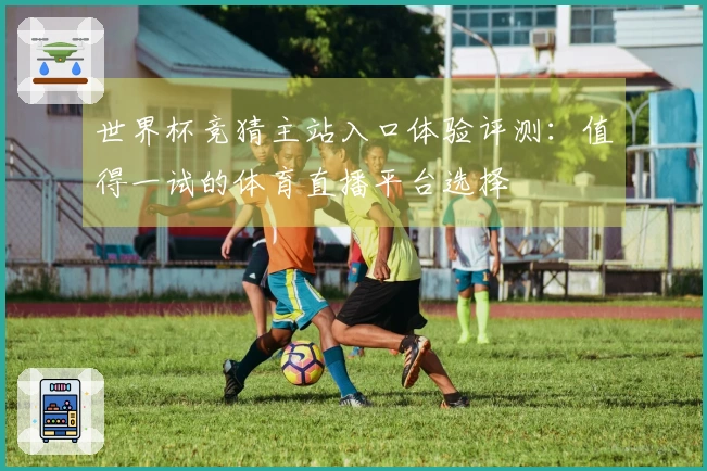 世界杯竞猜主站入口体验评测：值得一试的体育直播平台选择