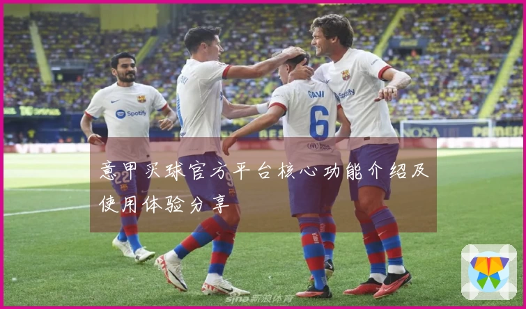 意甲买球官方平台核心功能介绍及使用体验分享