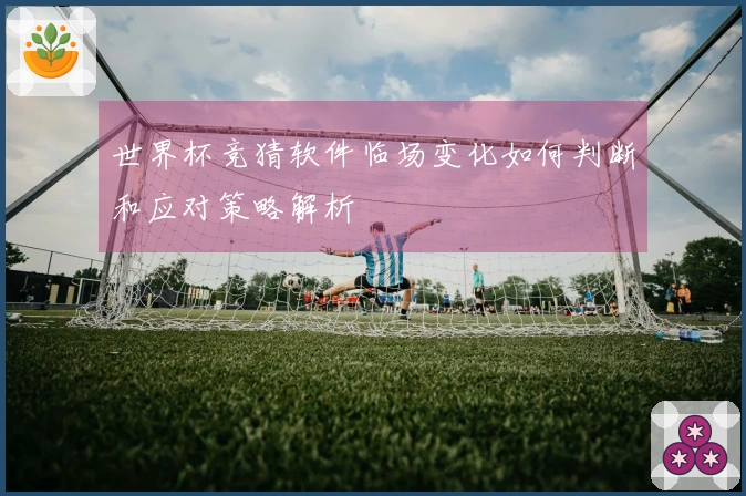 世界杯竞猜软件临场变化如何判断和应对策略解析