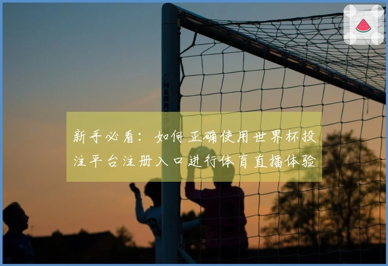 新手必看：如何正确使用世界杯投注平台注册入口进行体育直播体验