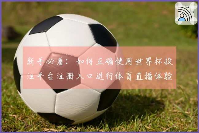 新手必看：如何正确使用世界杯投注平台注册入口进行体育直播体验