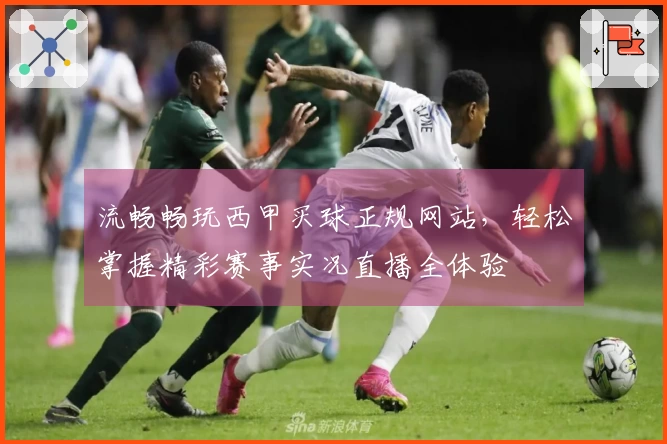 流畅畅玩西甲买球正规网站，轻松掌握精彩赛事实况直播全体验