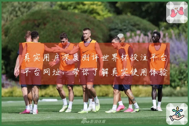 真实用户深度测评世界杯投注平台平台网址，带你了解真实使用体验。