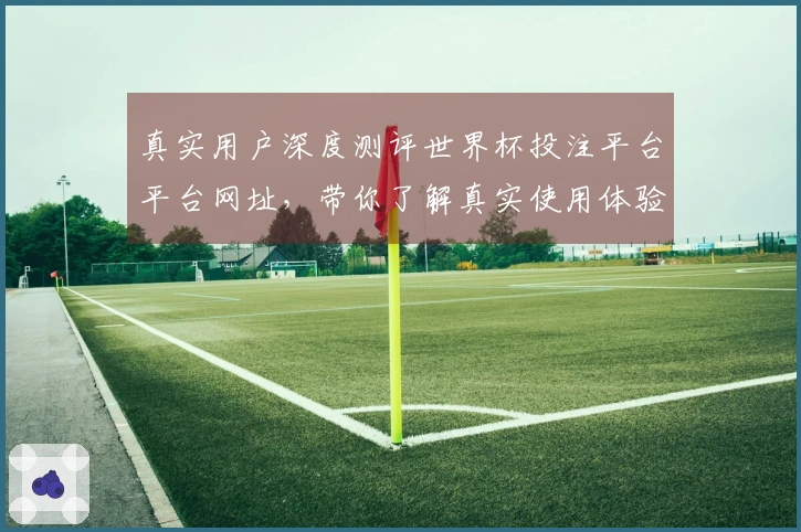 真实用户深度测评世界杯投注平台平台网址，带你了解真实使用体验。